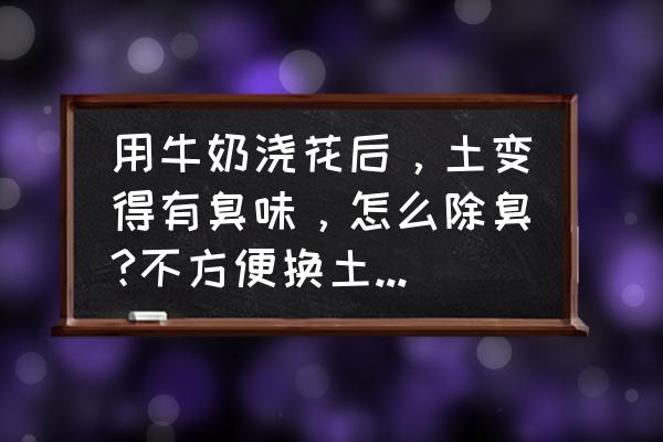 花盆土臭怎么处理 用牛奶浇花后，土变得有臭味，怎么除臭?不方便换土，还有其他解决办法吗？