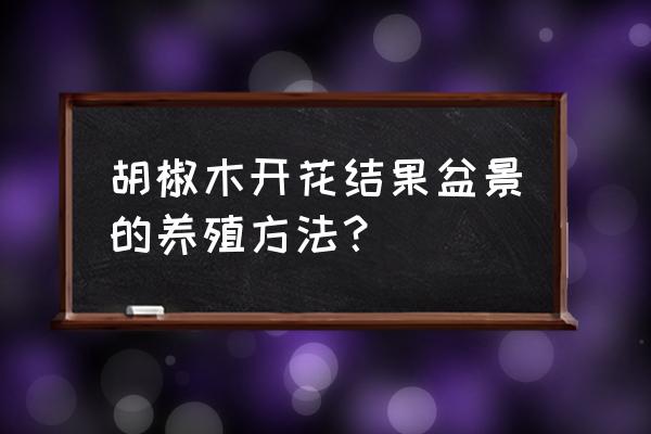 胡椒木盆景可高压繁殖方法 胡椒木开花结果盆景的养殖方法？