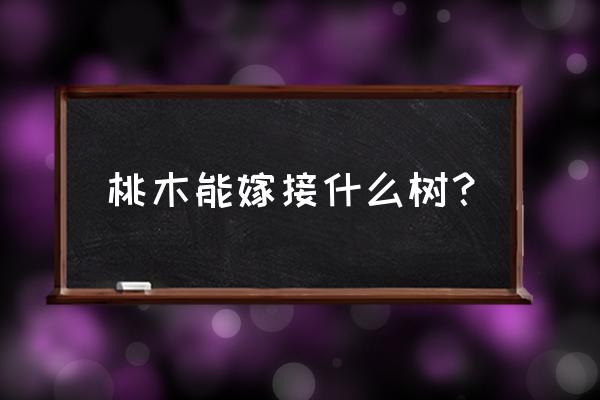 桃树嫁接芽选什么芽最佳 桃木能嫁接什么树？