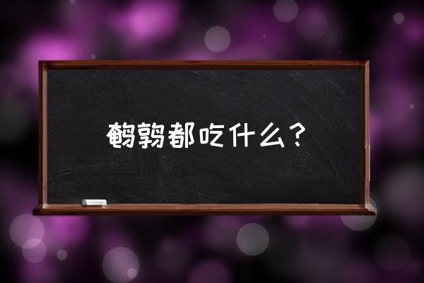 23个月的宝宝能吃鹌鹑吗 鹌鹑都吃什么？