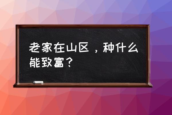 怎么人工把地弄平 老家在山区，种什么能致富？