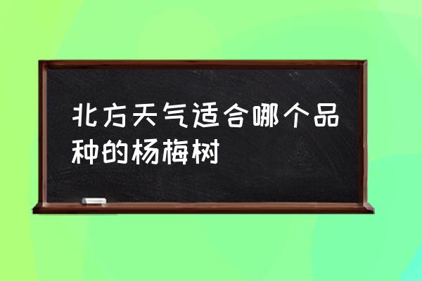 杨梅属于酸性食品吗 北方天气适合哪个品种的杨梅树