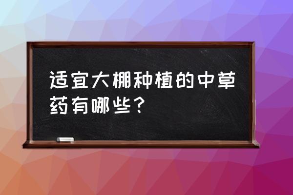 种植茵陈一亩地能产多少斤 适宜大棚种植的中草药有哪些？