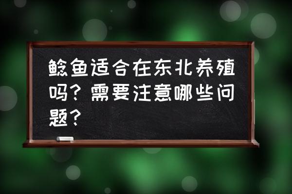 大口鲶养殖技术与管理方法 鲶鱼适合在东北养殖吗？需要注意哪些问题？