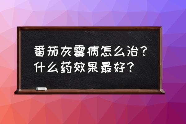 番茄灰霉病的防治方法有哪些 番茄灰霉病怎么治？什么药效果最好？