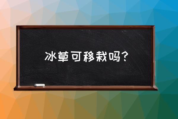 冰草种子种植方法和时间注意事项 冰草可移栽吗？