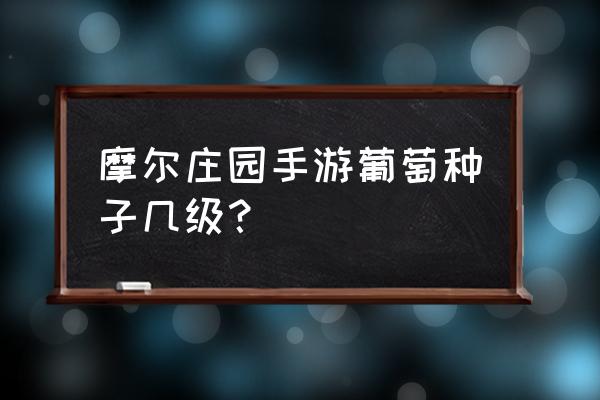 摩尔庄园投掷番茄在哪 摩尔庄园手游葡萄种子几级？