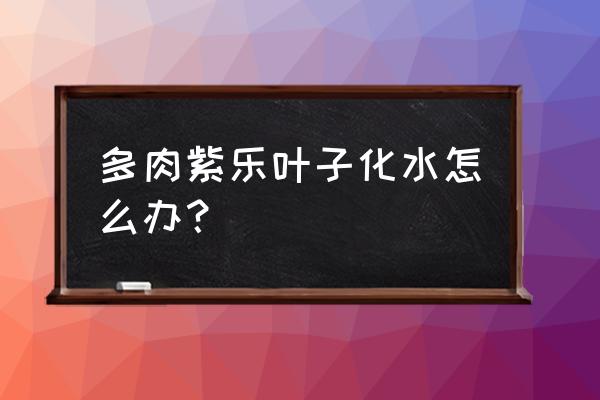 多肉植物底部叶子化水怎么办 多肉紫乐叶子化水怎么办？