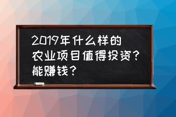 一起来养鸭赚钱游戏能赚多少 2019年什么样的农业项目值得投资？能赚钱？