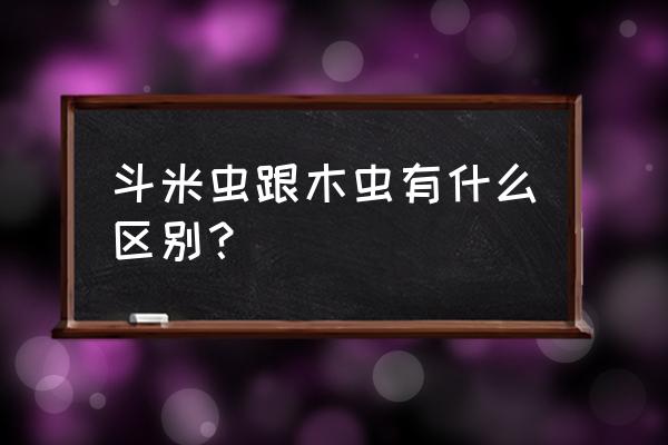 蛀木虫的克星 斗米虫跟木虫有什么区别？