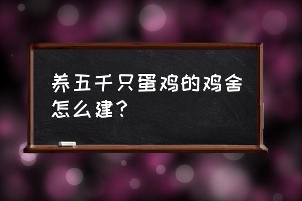 冬季鸡舍密闭性检查流程 养五千只蛋鸡的鸡舍怎么建？