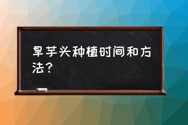 芋头什么时候种最佳 旱芋头种植时间和方法？