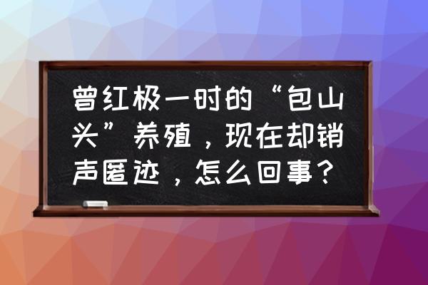 怎么在野外自己做烤鸭 曾红极一时的“包山头”养殖，现在却销声匿迹，怎么回事？