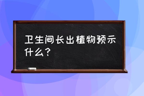 怎么才能让户外的瓷砖缝不长草 卫生间长出植物预示什么？