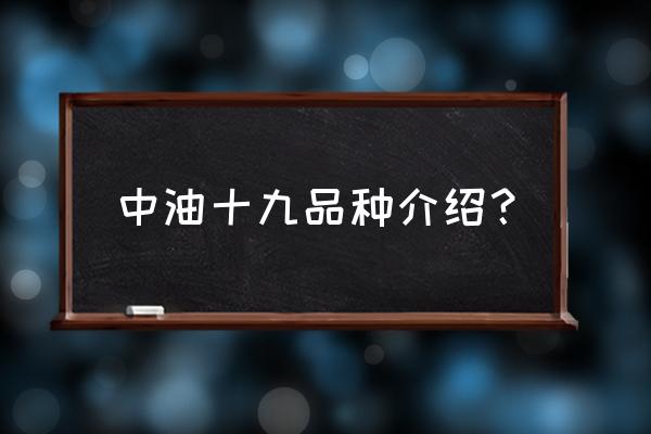 中油十八好还是中油十九油桃好 中油十九品种介绍？