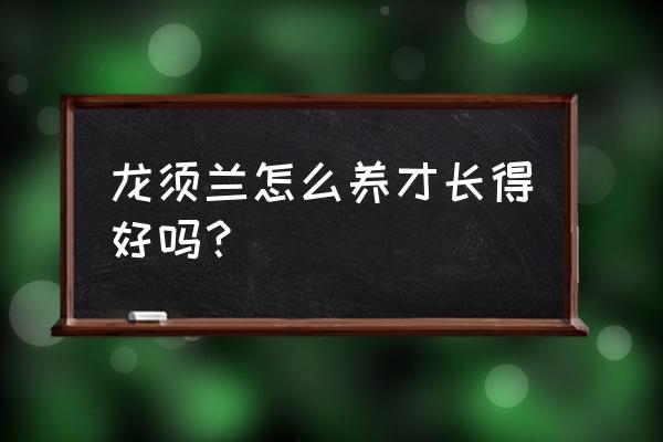 龙须兰叶子有黄褐色斑如何处理 龙须兰怎么养才长得好吗？