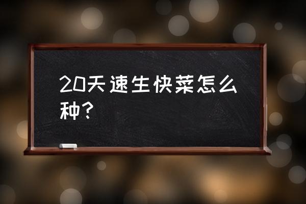 新手种菜全过程 20天速生快菜怎么种？