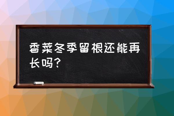 香菜用什么叶面肥长得快 香菜冬季留根还能再长吗？