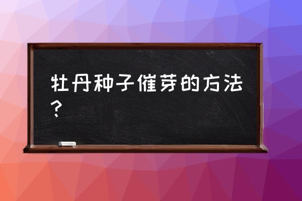 牡丹花种子怎么种植最好 牡丹种子催芽的方法？