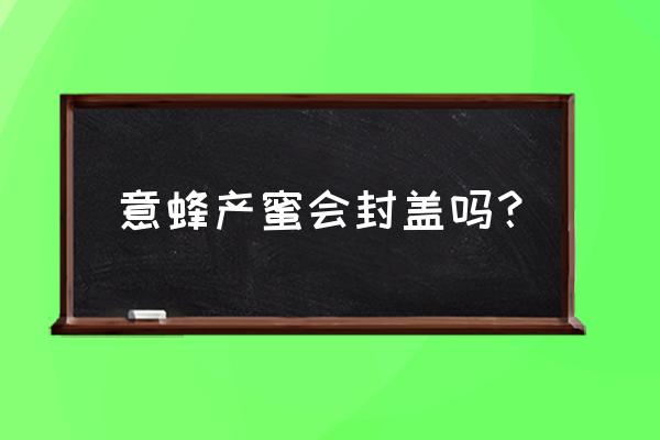 什么是正宗封盖蜜 意蜂产蜜会封盖吗？