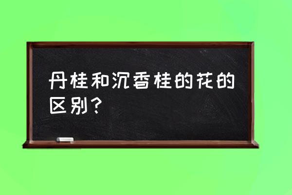 桂树和桂花树是不是一个树种 丹桂和沉香桂的花的区别? 桂树和桂花树是不是一个树种 丹桂和沉香桂的花的区别?