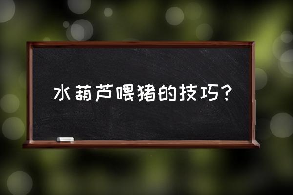 养猪的100个小技巧 水葫芦喂猪的技巧？