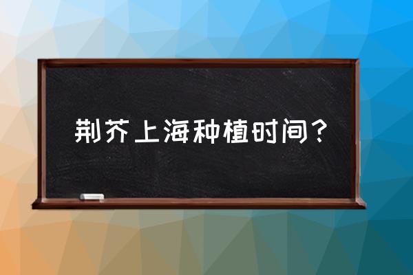 种植荆芥的正确方法 荆芥上海种植时间？