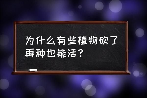 什么办法让树木斩草除根永不生长 为什么有些植物砍了再种也能活？