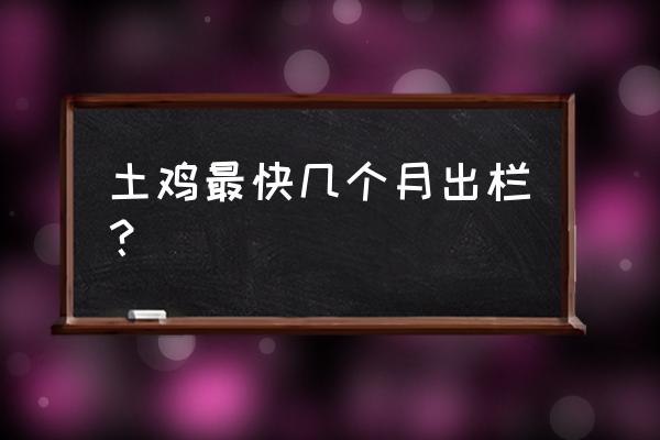 肉鸡最佳养殖时间 土鸡最快几个月出栏？