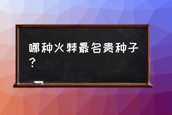 火棘播种前种子处理方法 哪种火棘最名贵种子？