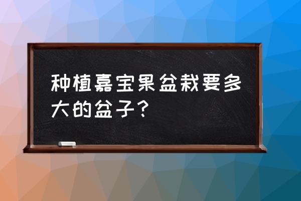 嘉宝果树移栽要天天浇水 种植嘉宝果盆栽要多大的盆子？