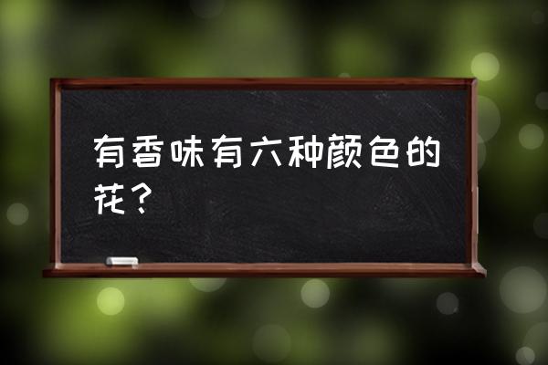 养花六种小妙招 有香味有六种颜色的花？