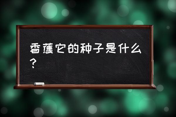 香蕉繁殖方法有几种 香蕉它的种子是什么？