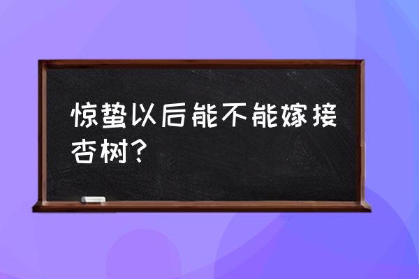 现在杏树用哪种嫁接方法成活率高 惊蛰以后能不能嫁接杏树？