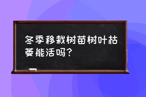 去年冬季移栽的苗木应怎样管理 冬季移栽树苗树叶枯萎能活吗？