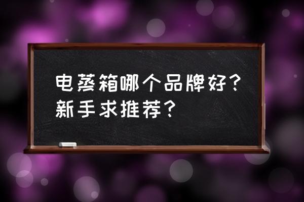 洗碗机科普高大上厨房神器推荐 电蒸箱哪个品牌好？新手求推荐？