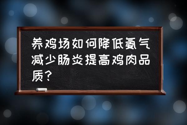 鸡舍冬天氨气味大怎么解决 养鸡场如何降低氨气减少肠炎提高鸡肉品质？