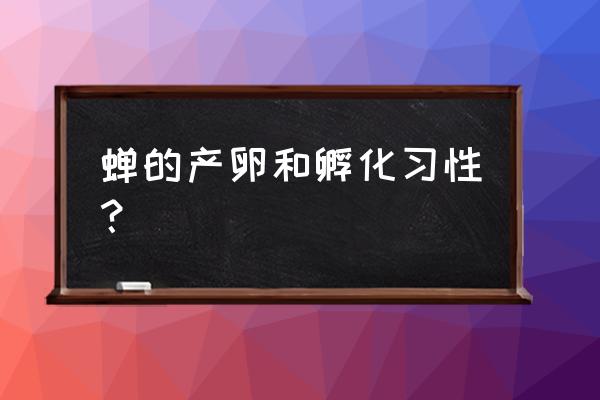 洛克王国火爆猴和谁孵蛋最好 蝉的产卵和孵化习性？