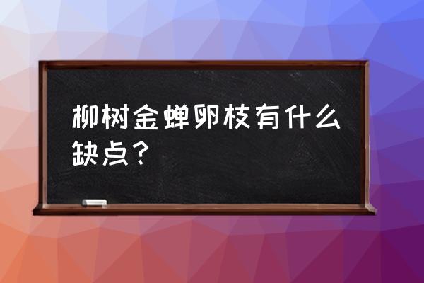 金蝉卵枝不孵化直接撒树下行吗 柳树金蝉卵枝有什么缺点？