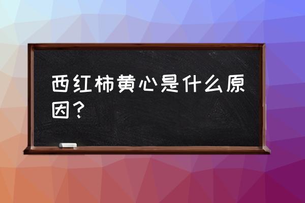 大棚西红柿发黄怎么弄 西红柿黄心是什么原因？