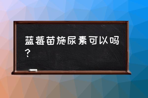 刚栽的蓝莓苗用什么肥好 蓝莓苗施尿素可以吗？