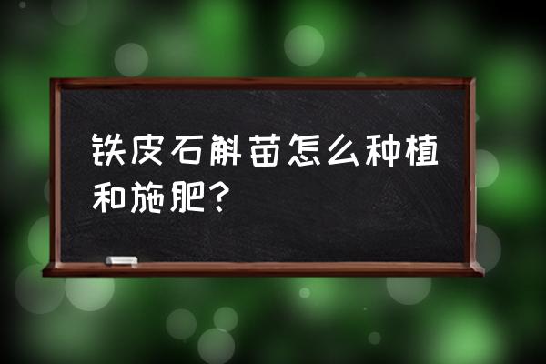 怎样看出石斛的好坏 铁皮石斛苗怎么种植和施肥？