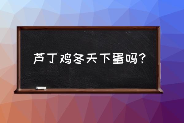 芦丁鸡哪种下蛋多 芦丁鸡冬天下蛋吗？