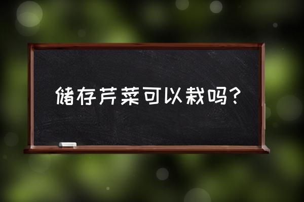 芹菜怎么长期储存在土里 储存芹菜可以栽吗？