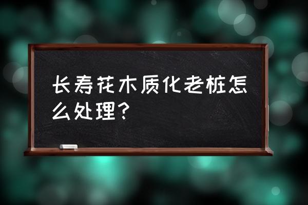 长寿花黄叶是怎么回事儿 长寿花木质化老桩怎么处理？