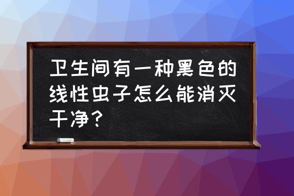 卫生间出现黑色条状小虫如何去除 卫生间有一种黑色的线性虫子怎么能消灭干净？