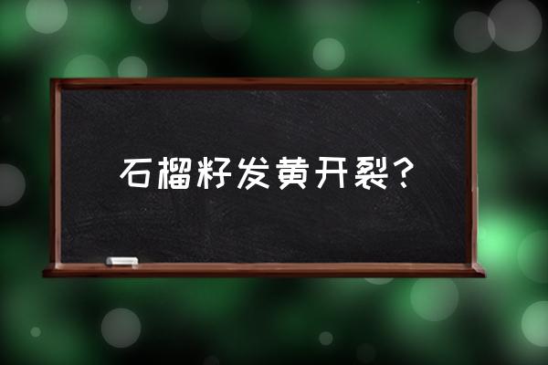 石榴腐烂了怎么补救 石榴籽发黄开裂？