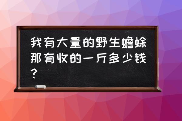 蟾酥多少钱一斤 我有大量的野生蟾蜍那有收的一斤多少钱？