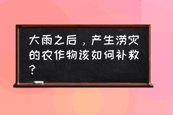 辣椒苗被水淹过后怎么急救 大雨之后，产生涝灾的农作物该如何补救？