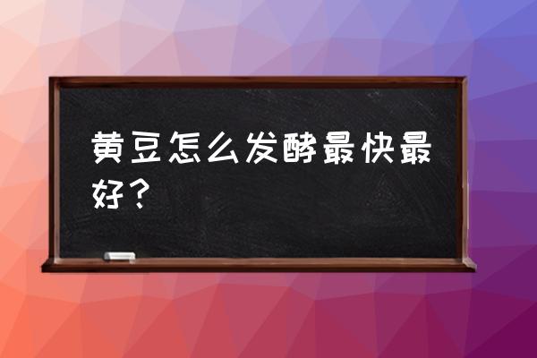 黄豆肥料正确发酵方法 黄豆怎么发酵最快最好？